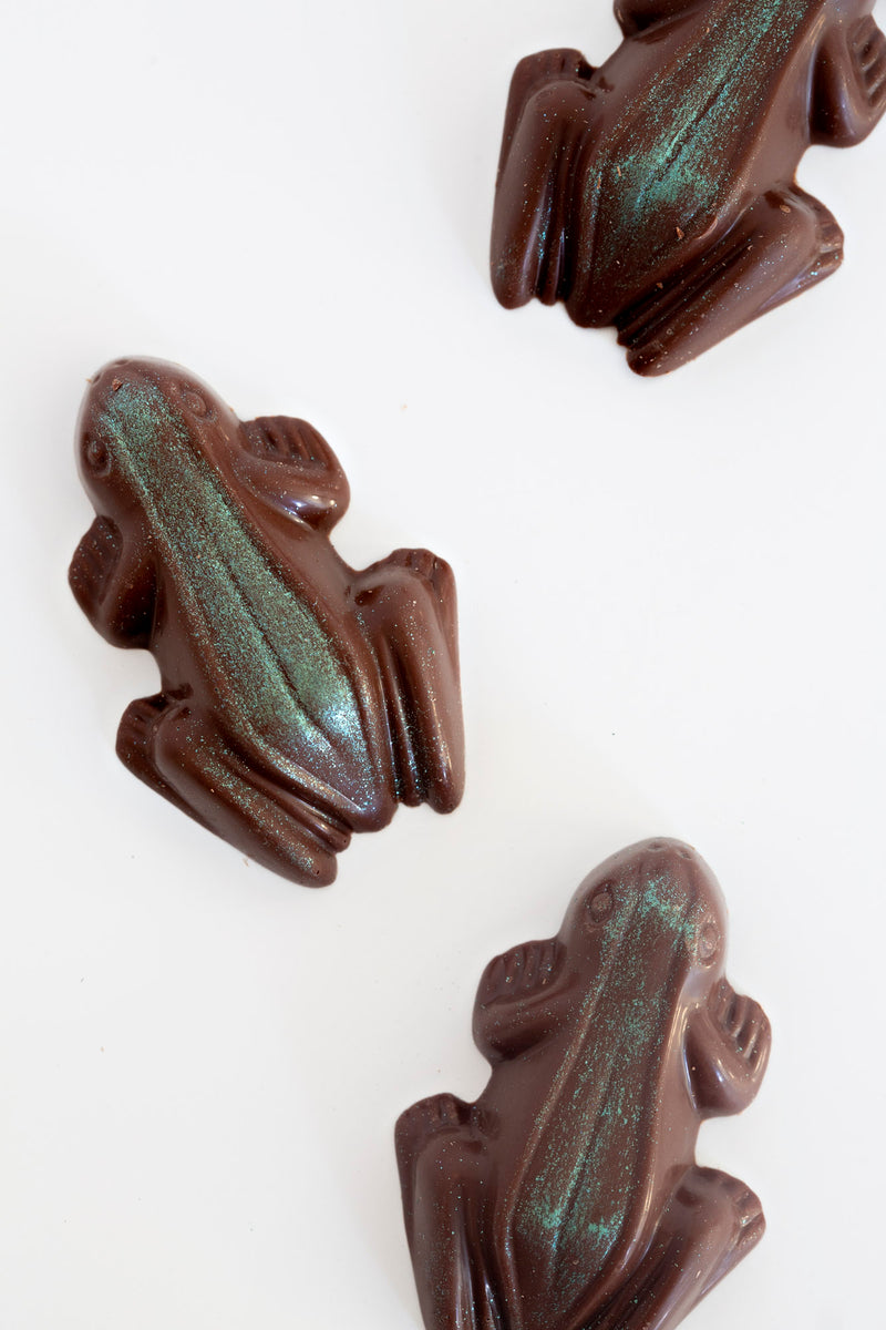 Chocolate Frog Straw Charm – TheFawnDoe