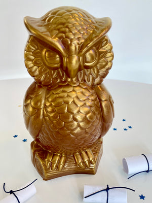 Chocolate Owl