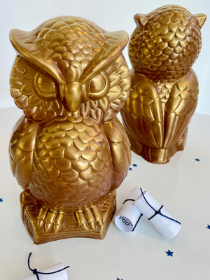 Chocolate Owl