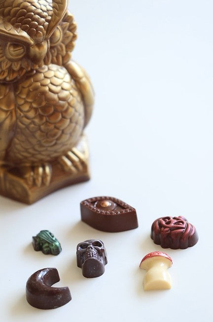 Surpise Owl with novelty chocolates inside!