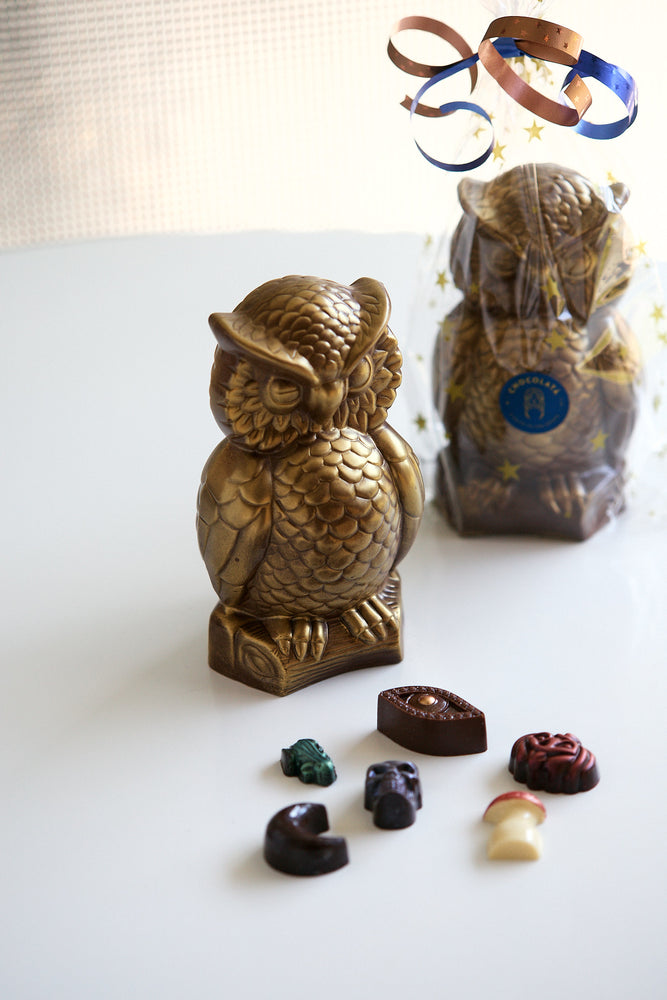 Surpise Owl with novelty chocolates inside!