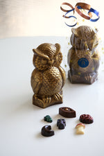 Surpise Owl with novelty chocolates inside!