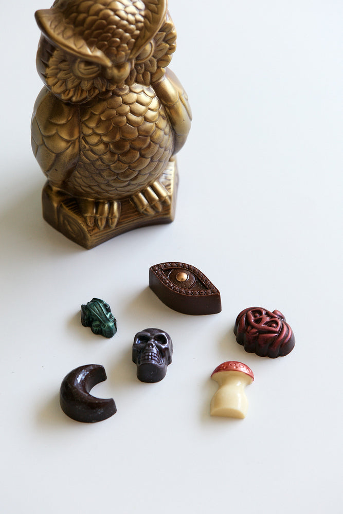 Surpise Owl with novelty chocolates inside!